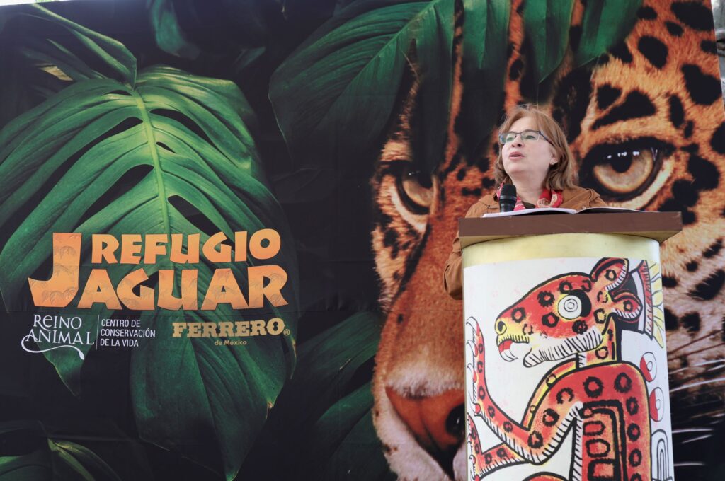Ferrero de México y Reino Animal inauguran el “Área de Crianza Salvaje” en Refugio Jaguar y reciben a una nueva hembra rescatada
