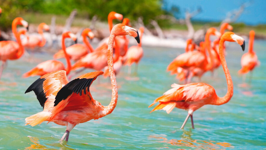 LA MÁS REFRESCANTE PROPUESTA PARA VACACIONAR LA PRÓXIMA TEMPORADA DE SEMANA SANTA