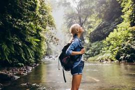 DÍA MUNDIAL DEL MEDIO AMBIENTE 2024: HACIA UN TURISMO SUSTENTABLE