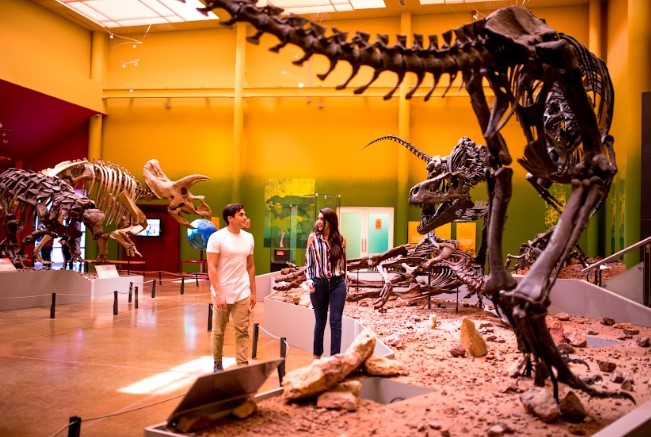 EL MUSEO DEL DESIERTO CHIHUAHUENSE EN DELICIAS RESGUARDA HISTORIA NATURAL, TERRITORIO Y EDUCACIÓN CIENTÍFICA