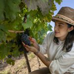 EL ESTADO DE QUERÉTARO SE CONSOLIDA PIONERO EN EL RECONOCIMIENTO COMO REGIÓN VINÍCOLA EN EL PAÍS