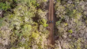 CAMINO DEL MAYAB: TURISMO COMUNITARIO QUE CONECTA NATURALEZA, CULTURA Y DESARROLLO SOSTENIBLE EN YUCATÁN