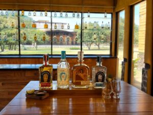 MÁS ALLÁ DEL AGAVE EN EL DÍA INTERNACIONAL DEL TEQUILA: 10 DATOS QUE REVELAN CÓMO ESTÁ CAMBIANDO ESTA GRAN INDUSTRIA