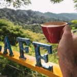 PUERTO RICO: DONDE EL VIAJE SE SABOREA A TRAVÉS DEL AROMA Y LA TRADICIÓN DE SU CAFÉ