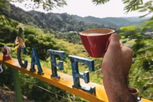 PUERTO RICO: DONDE EL VIAJE SE SABOREA A TRAVÉS DEL AROMA Y LA TRADICIÓN DE SU CAFÉ