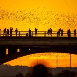 AUSTIN PRESENTA UNA CIUDAD DONDE MÚSICA, GASTRONOMÍA Y EXPERIENCIAS DEFINEN EL VIAJE  