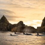 THE INFINITE COAST: DONDE CADA PARADA REVELA UNA NUEVA AVENTURA EN BRITISH COLUMBIA