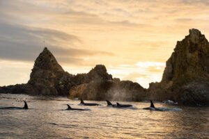 THE INFINITE COAST: DONDE CADA PARADA REVELA UNA NUEVA AVENTURA EN BRITISH COLUMBIA