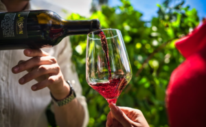 CON EL FESTIVAL “ENTRE VINOS Y TRADICIÓN” CHIHUAHUA CONMEMORA EL DÍA DE MUERTOS CON UNA EXPERIENCIA ÚNICA